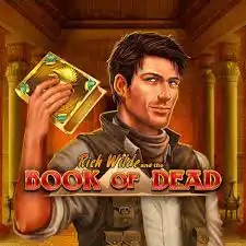 Play the Book of Dead slot by Play'n GO on Frank Casino